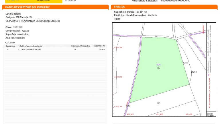TERRENO EN PEÑARANDA DE DUERO